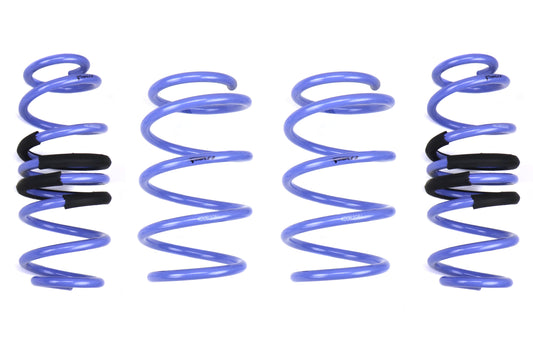 ISCTSLS-GTI ISC Suspension Triple S Lowering Springs,